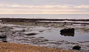 Palaeontologist: Excavating at Charmouth