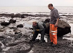 Palaeontologist: Excavating at Charmouth