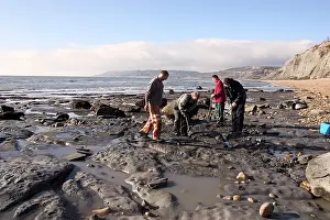 Palaeontologist: Excavating at Charmouth