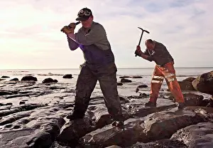 Palaeontologist: Excavating at Charmouth