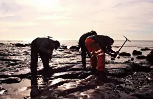Palaeontologist: Excavating at Charmouth