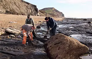 Palaeontologist: Excavating at Charmouth