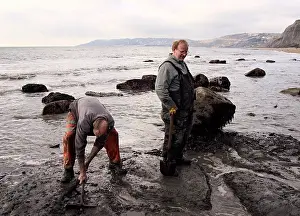 Palaeontologist: Excavating at Charmouth