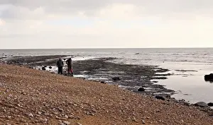 Palaeontologist: Excavating at Charmouth