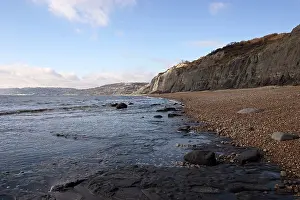 Palaeontologist: Excavating at Charmouth