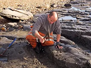 Palaeontologist: Excavating at Charmouth