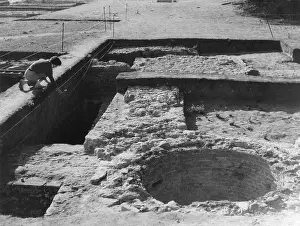 Nonsuch: EXCAVATING NONSUCH 1959