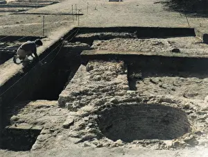 Nonsuch: EXCAVATING NONSUCH 1959