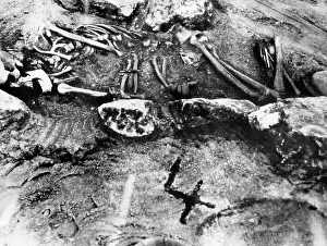 Peabody: Excavations in ancient Bohemia, 1929