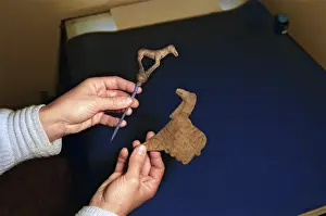 Plateau: Excavations of barrow at Ukok Plateau, 1993