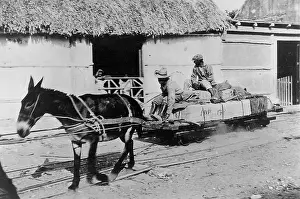 Carnegie: Excavations in Calakmul, 1932