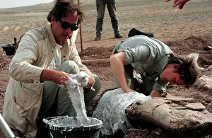 Palaeontologist: Excavations, Niger