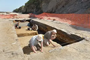 Sediment: Excavations, Norfolk 2006