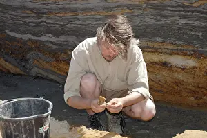 Sediment: Excavations, Norfolk 2006