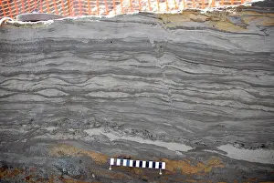 Sediment: Excavations, Norfolk 2006