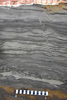 Sediment: Excavations, Norfolk 2006