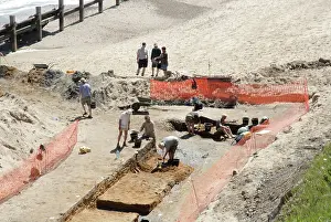 Anthropological: Excavations, Norfolk 2006
