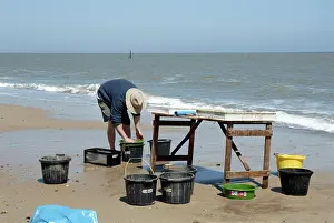 Anthropological: Excavations, Norfolk 2006