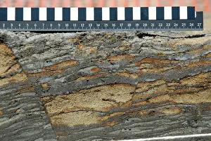 Anthropological: Excavations, Norfolk 2006