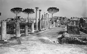 Excavations: Excavations at Ostia