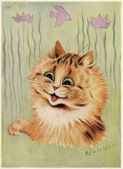 Cats: AN EXCITED CAT