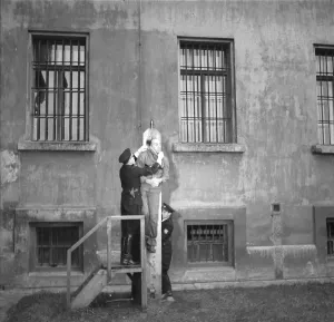 Daluege: Execution