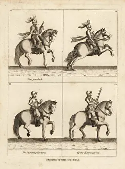 Cavalerie: Exercise of the horse