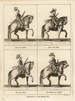 Respecting: Exercise of the horse
