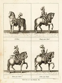 Respecting: Exercise of the horse