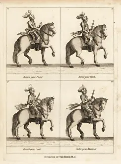 Respecting: Exercise of the horse