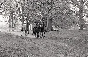 Cantering: Exercising horses, cantering by