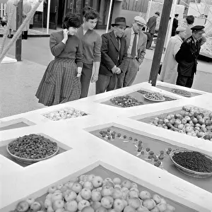 Dismay: Exhibition called Success of USSR in Science