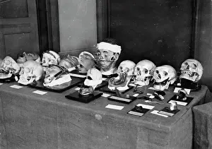 Dentists: Exhibition of the central association of German dentists