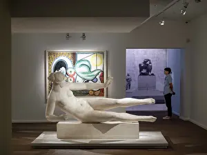 Rigaud: Exhibition, Musee d'Art Hyacinthe Rigaud, Perpignan, France