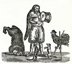 Tricks: Exhibition of trained animals