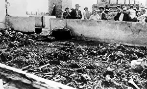 Exhumed: The exhumed bodies of prisoners at the concentraton ?