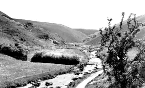 Doone: Exmoor, the Doone Valley c1960