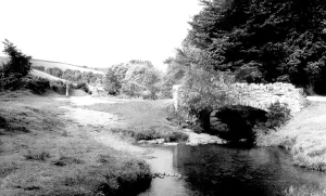 Exmoor: Exmoor, River Lyn c1965