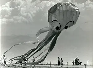 Kites: Exotic