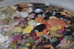 Ecstasy: Exotic aquia