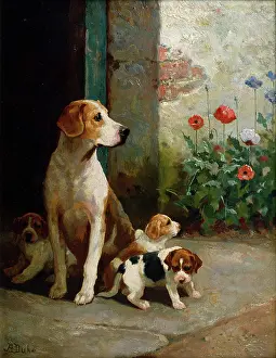 Expectations: Expectations – dog with three puppies