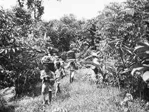 Loads: Expedition in Africa, 1935
