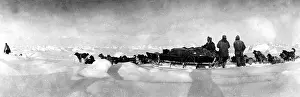 Sleds: Expedition of Albert Cook to the North Pole, 1908