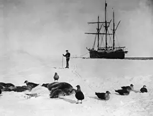 Undertook: Expedition ship Fram in the Antarctic