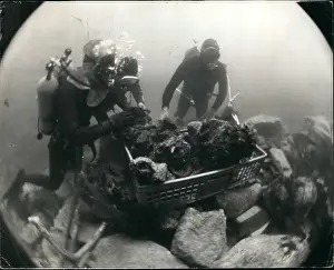 Scilly: Expeditions - Explorers