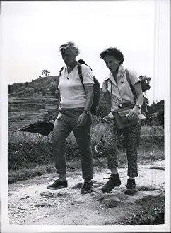 Mino: Expeditions - Explorers