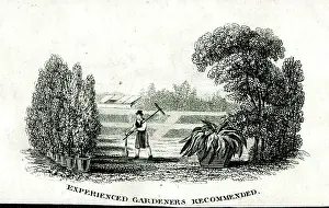 Skilled: Experienced Gardeners Recommended