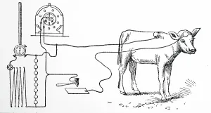 Edison: Experiment carried out at Edison laboratory at Orange
