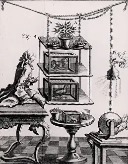 1753: Experiment on the effects of electricity on plants