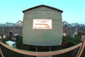 Concrete: Experimental apiary near Chernobyl Nuclear Power